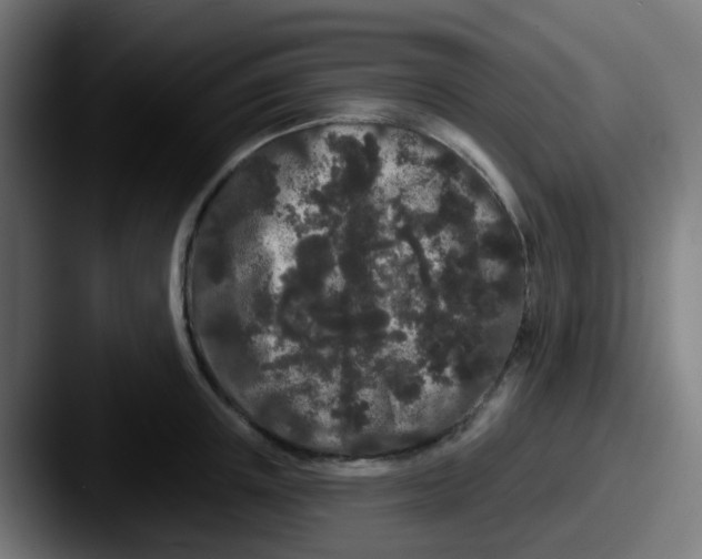 X0000087610851200705181254