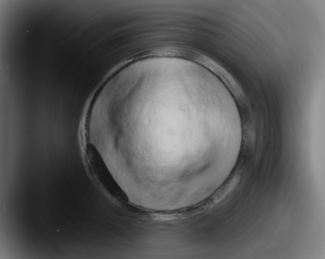 X0000087610852200705181254