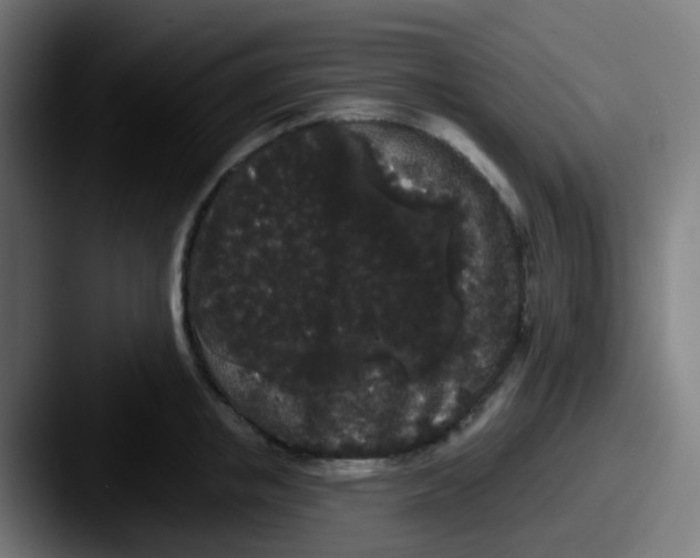 X0000087610853200705181254