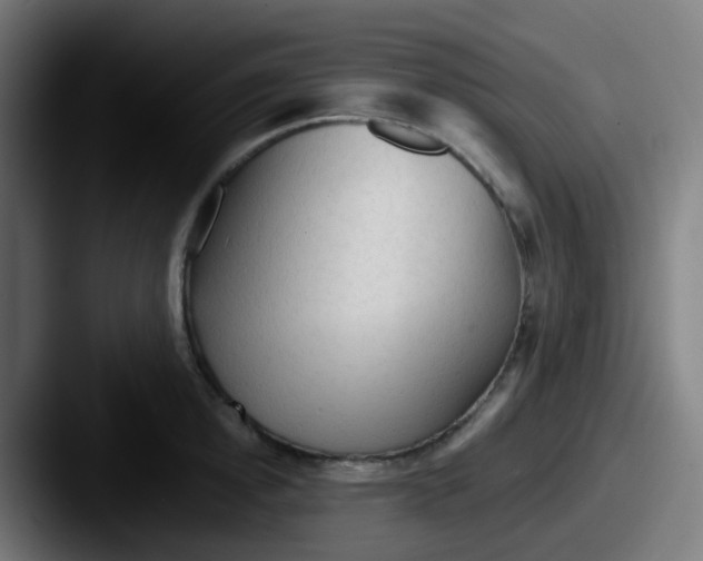 X0000087610854200705181254