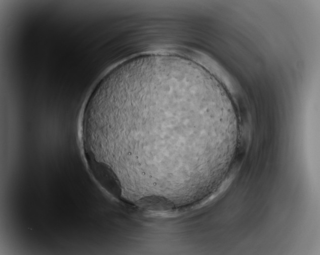 X0000087610855200705181254