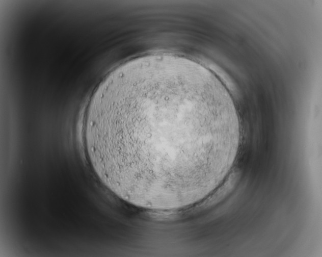 X0000087610856200705181254