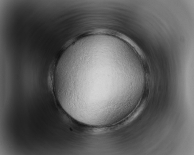 X0000087610857200705181254