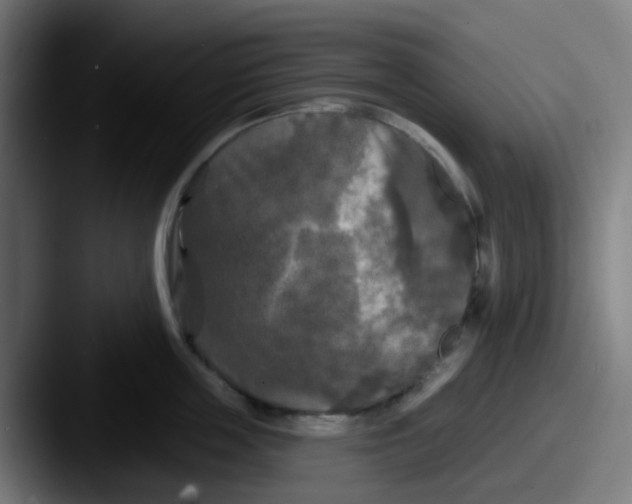 X0000087610859200705181254