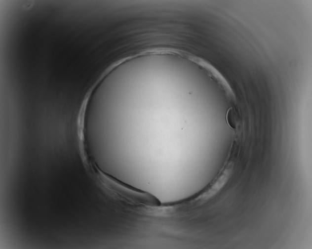 X0000087610860200705181254