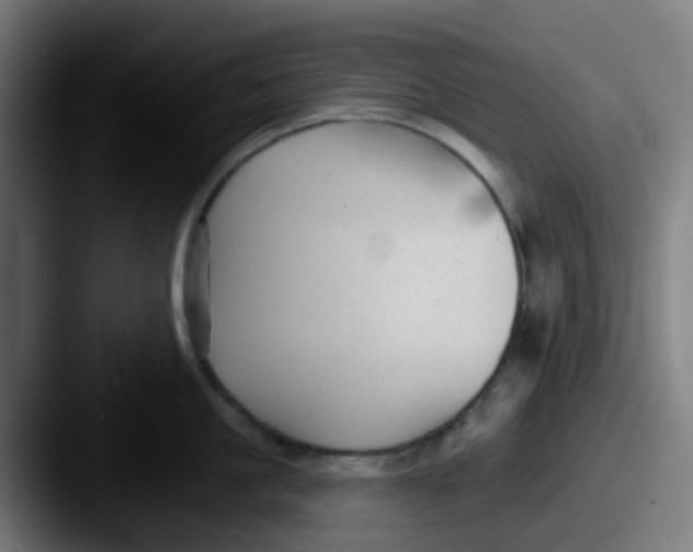 X0000087610861200705181254