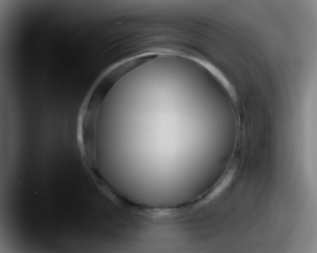 X0000087610862200705181254