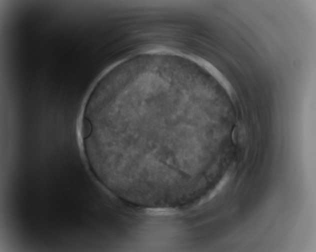 X0000087610863200705181254