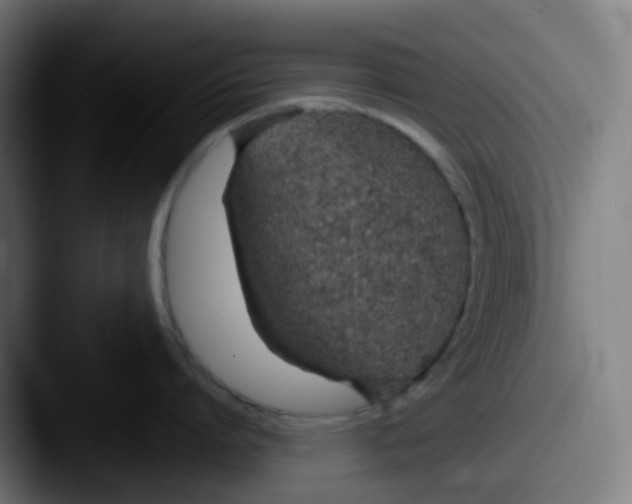 X0000087610864200705181254