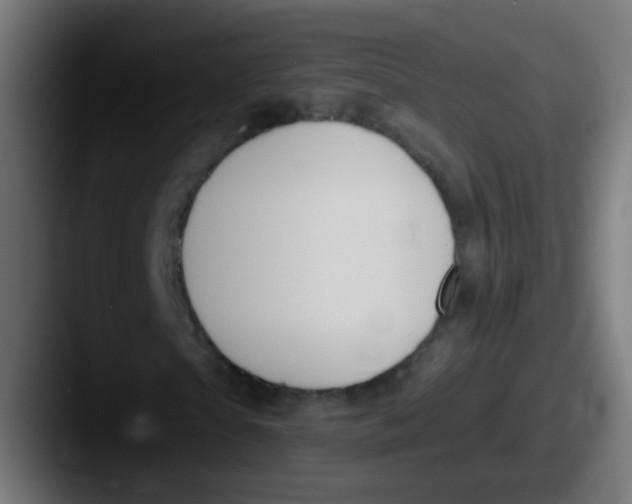 X0000087610865200705181253