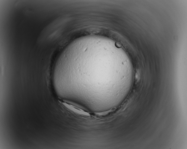 X0000087610867200705181253