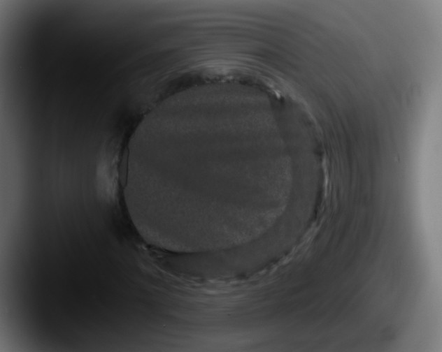 X0000087610868200705181253