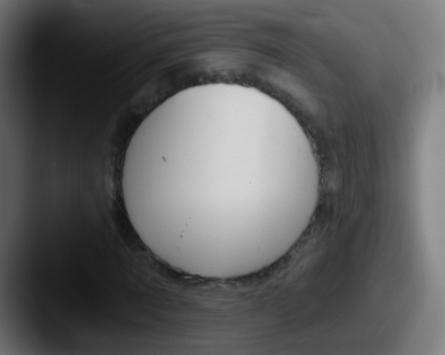 X0000087610869200705181253