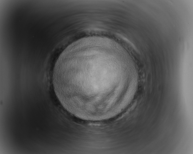 X0000087610870200705181253