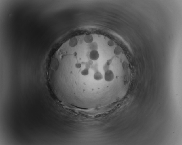 X0000087610871200705181253