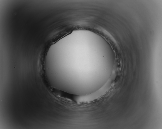 X0000087610872200705181253