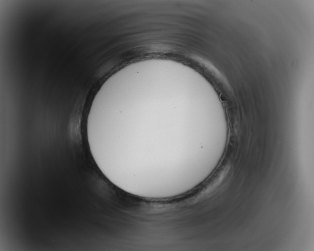 X0000087610873200705181253