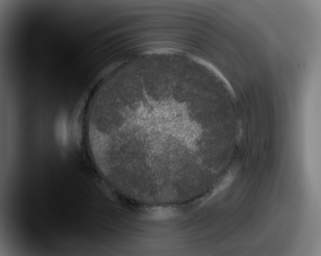 X0000087610874200705181253