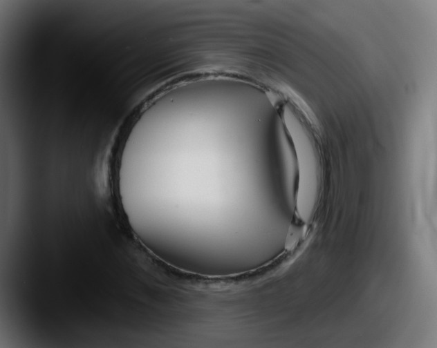 X0000087610876200705181253