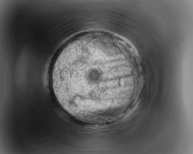 X0000087610879200705181253