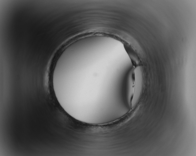 X0000087610880200705181253