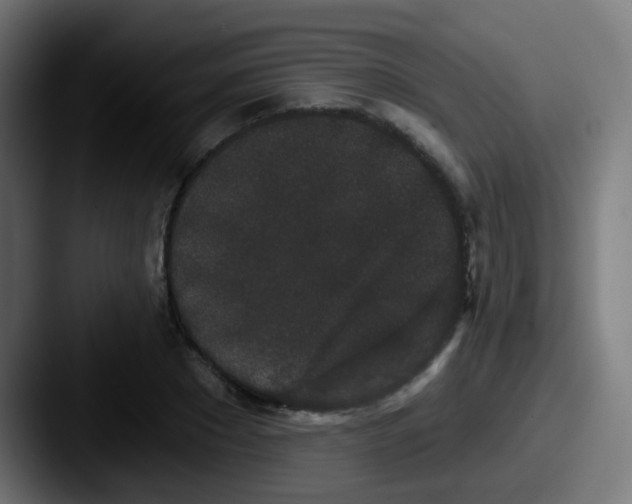 X0000087610881200705181253