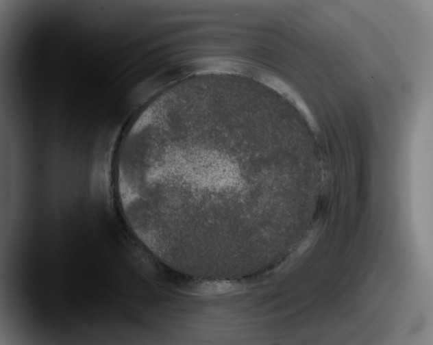 X0000087610882200705181253