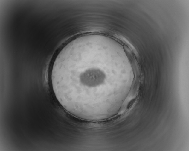 X0000087610883200705181253