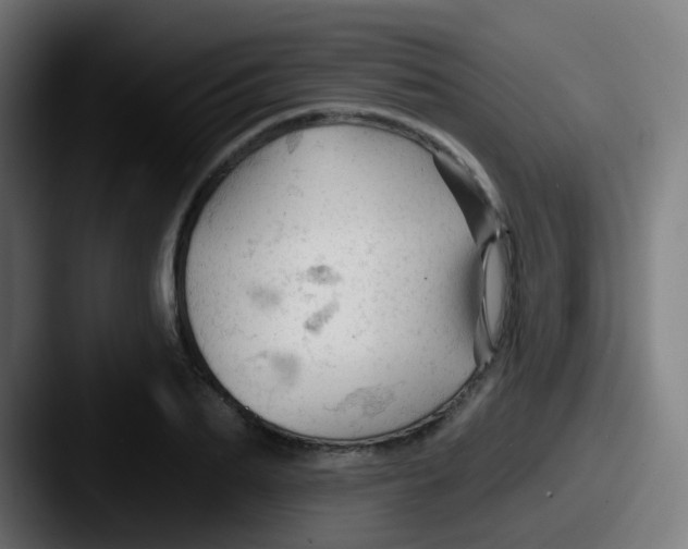 X0000087610887200705181253