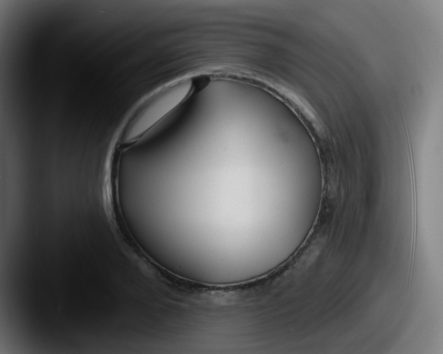 X0000087610888200705181253