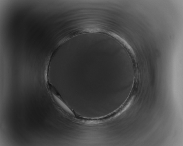 X0000087610889200705181253