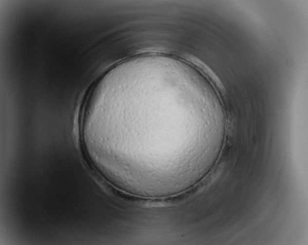 X0000087610890200705181253