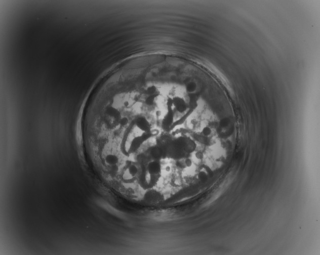 X0000087610891200705181253