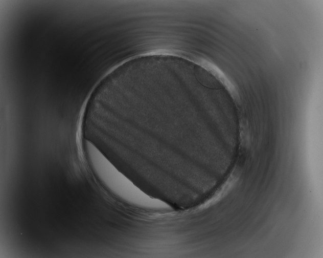 X0000087610892200705181253