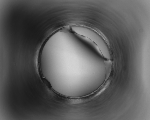 X0000087610893200705181253