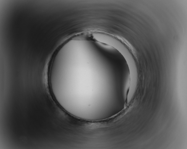 X0000087610894200705181253