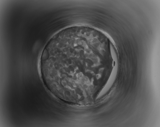 X0000087610895200705181253