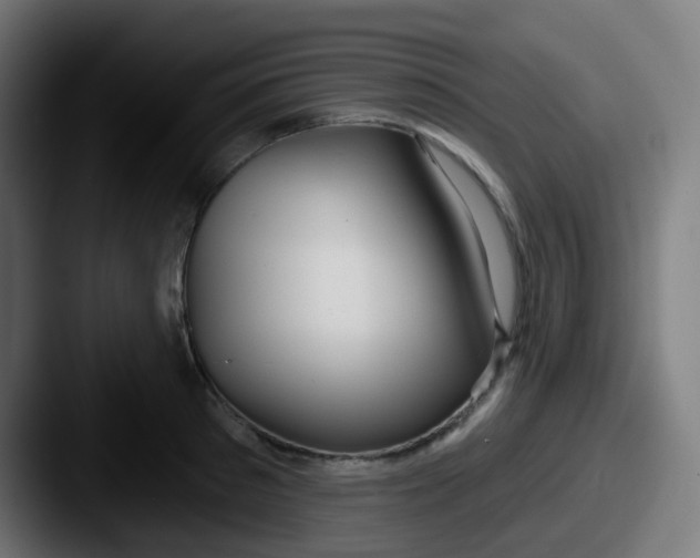 X0000087610897200705181253