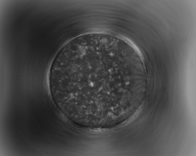 X0000087610899200705181253