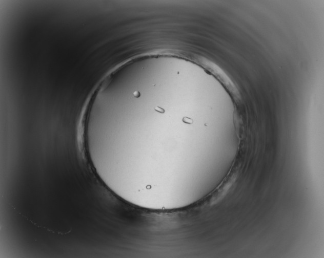 X0000087610900200705181253