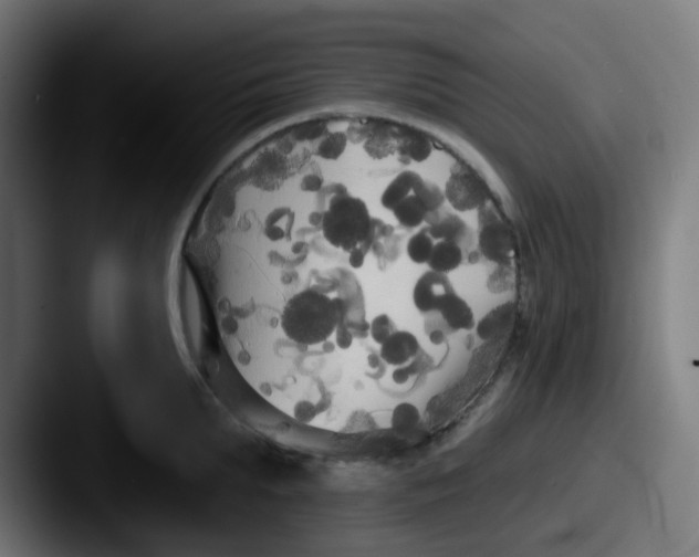 X0000087610903200705181253