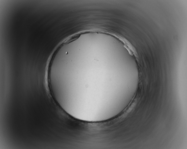 X0000087610904200705181253