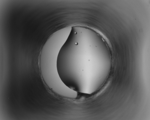 X0000087610905200705181253