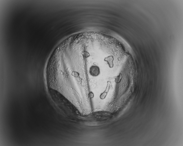 X0000087610907200705181253