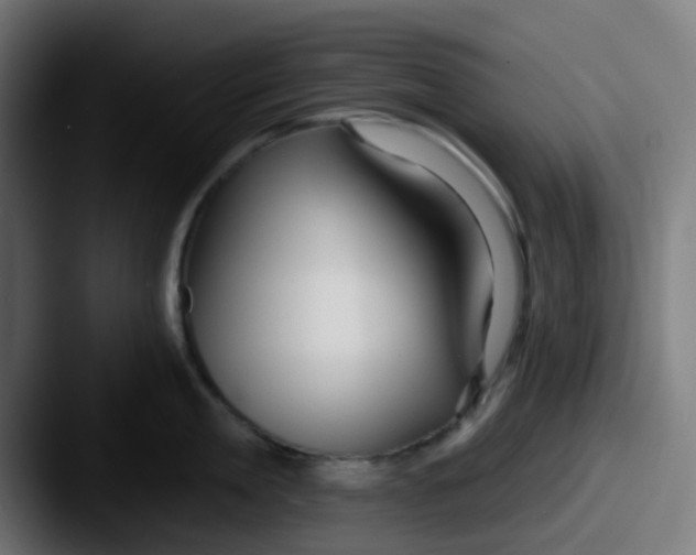 X0000087610909200705181253