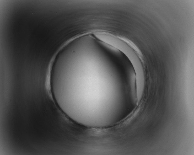 X0000087610910200705181253