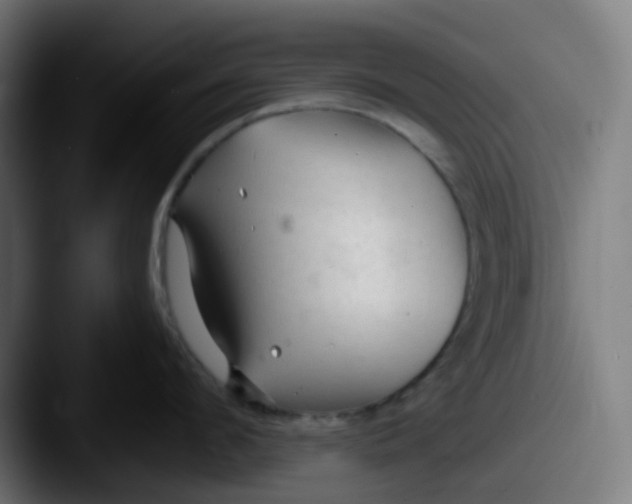 X0000087610912200705181253