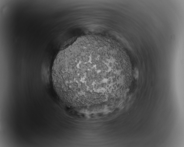 X0000087610915200705181252