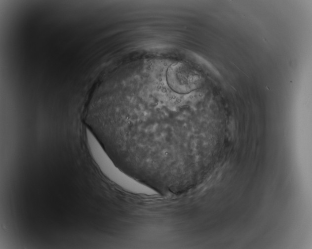 X0000087610917200705181252