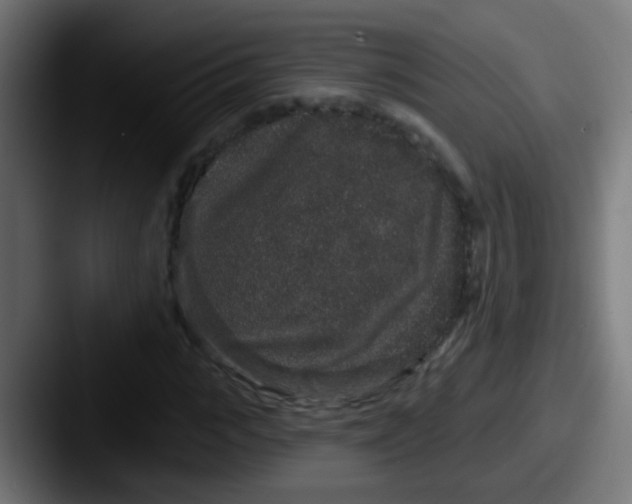 X0000087610919200705181252